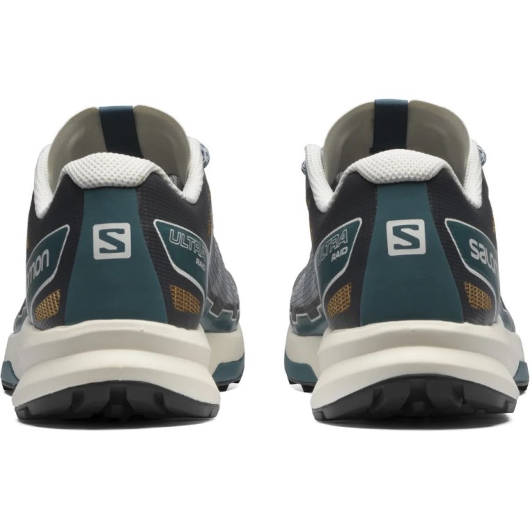 Tenis Salomon Ultra Raid Masculino Cinzentas | PT J32815